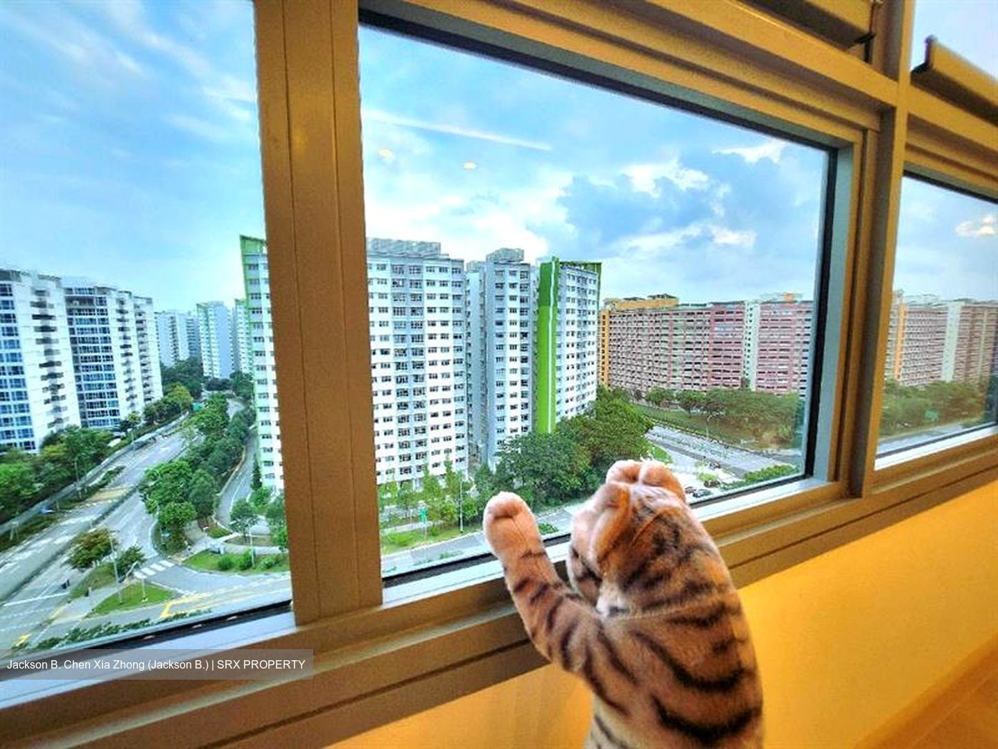 Blk 621A Tampines Greenverge (Tampines), HDB 4 Rooms #583746091
